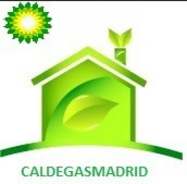 Calderas Caldegasmadrid, empre - Servicios - Profesionales
