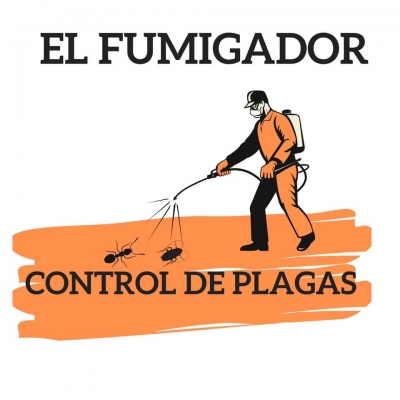 Empresa de control de plagas en Sevilla
