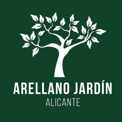 Poda de pinos en altura en San Juan de Alicante